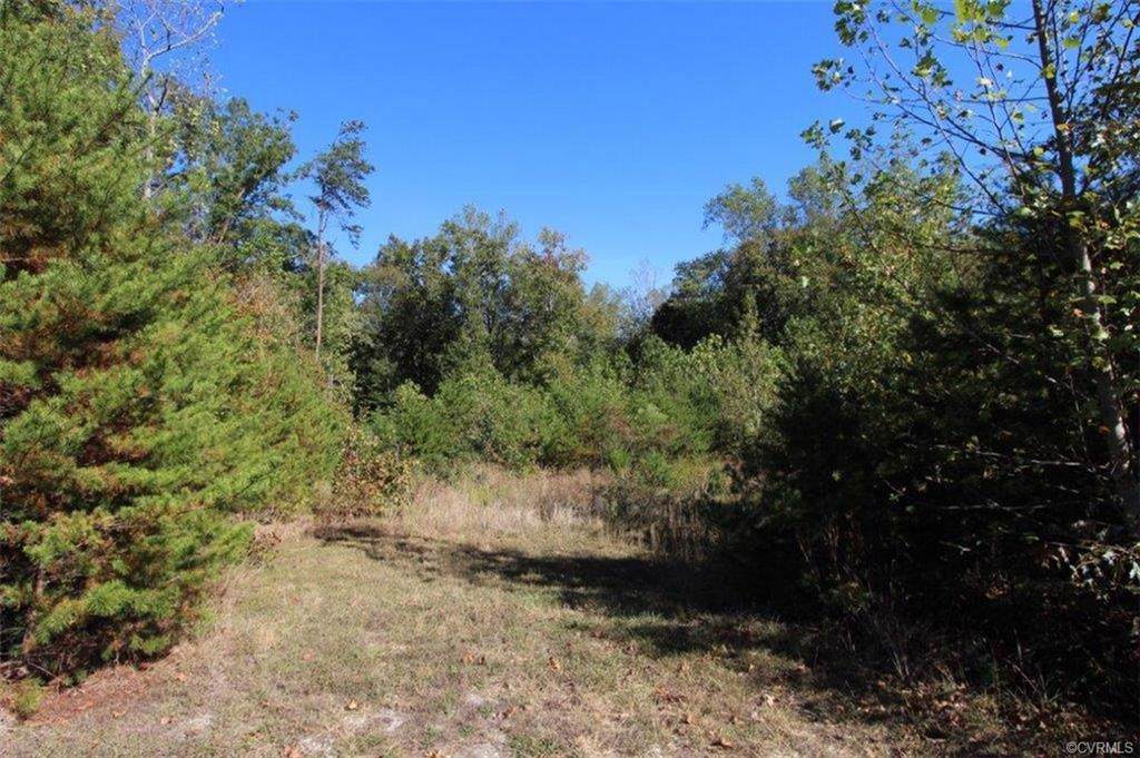 Lot 8 Briarwood Drive - Photo 1