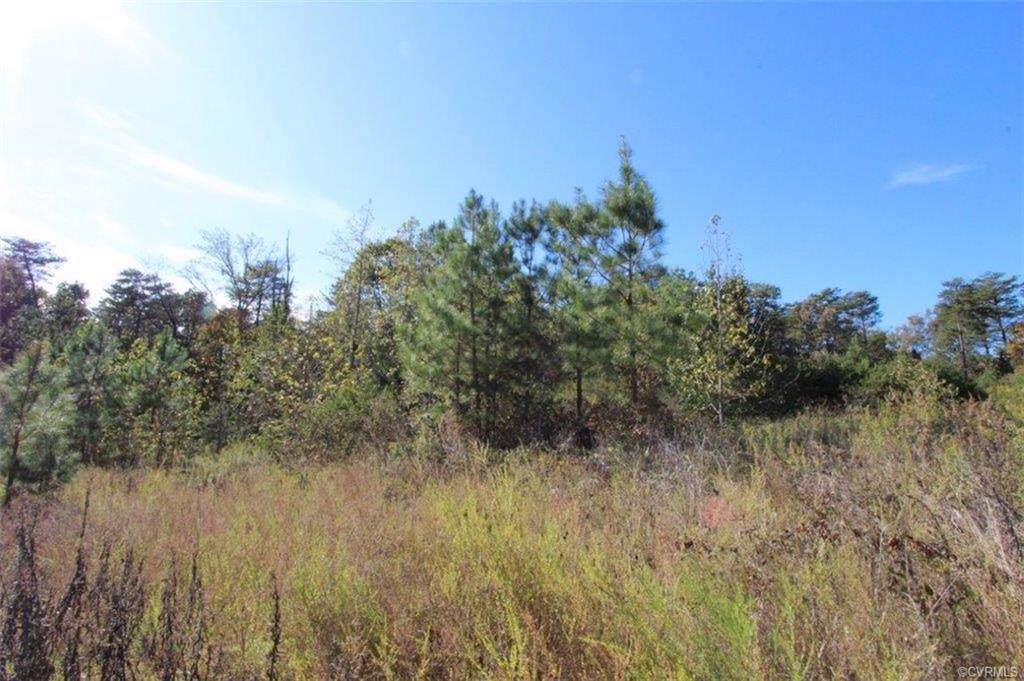 Lot 4 Bridget Lane - Photo 1