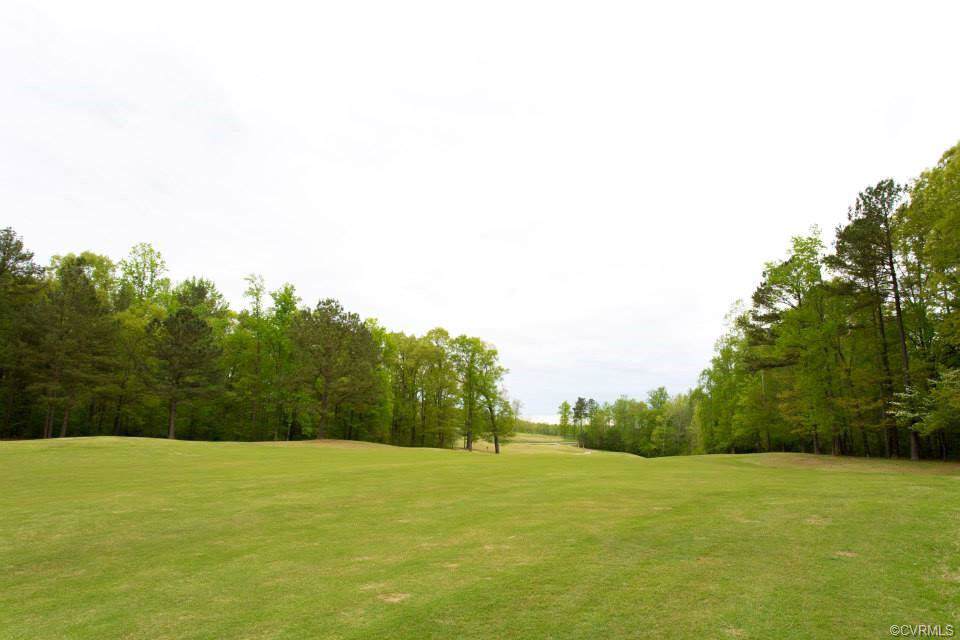 15007 Chesdin Green Way - Photo 1
