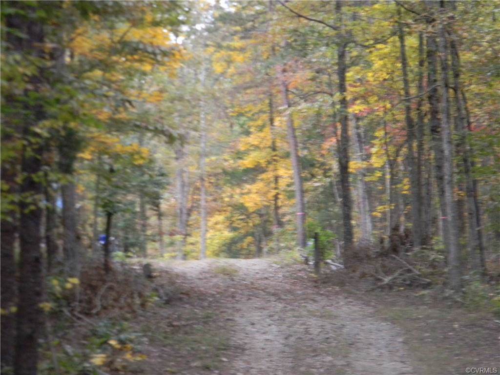 0 Jackson Shop Rd. - Photo 1