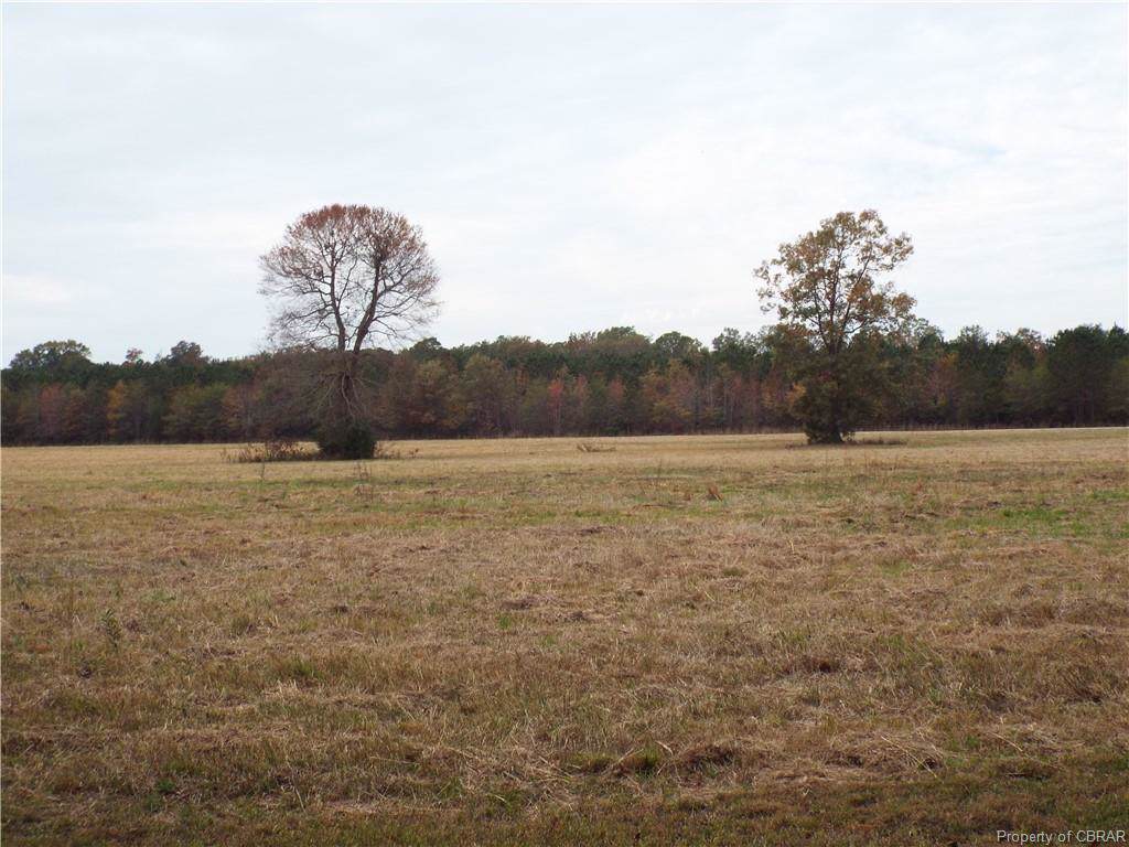 lot 3 Peach Point Road - Photo 1