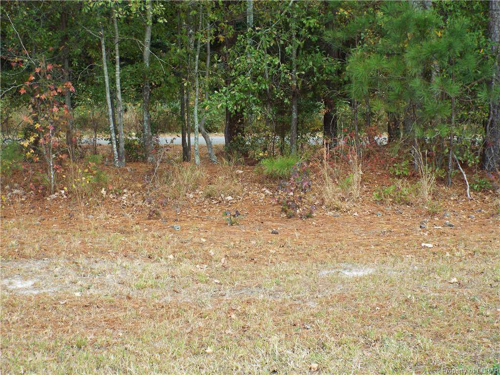 Lot 2 Peach Point Road - Photo 1