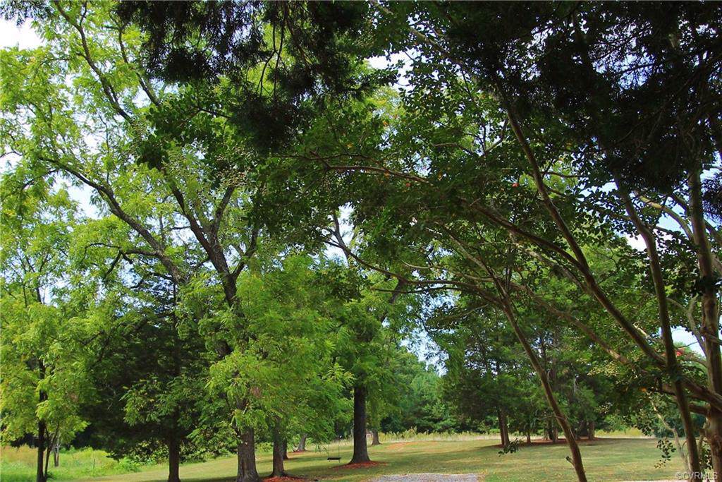 Lot 2 Five Forks Road - Photo 1