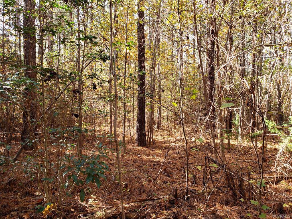 0 Western Branch Road - Photo 1
