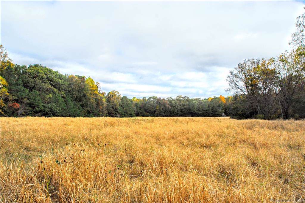 693 Christ Church Road - Photo 1