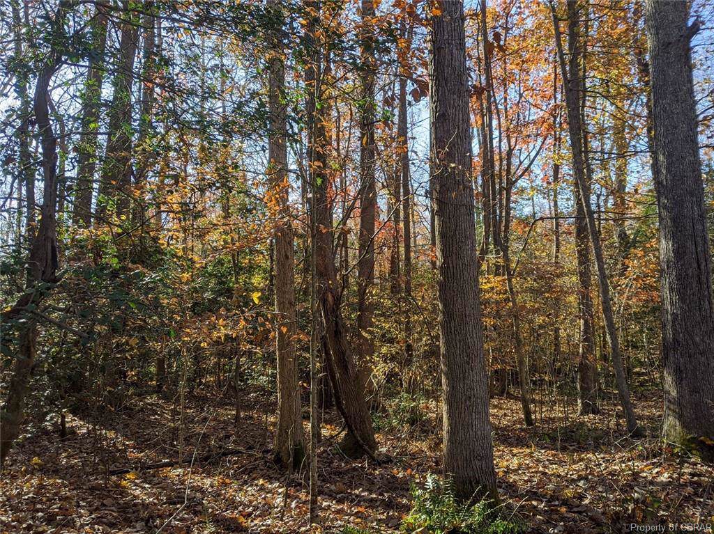 00 Spring Branch Drive - Photo 1