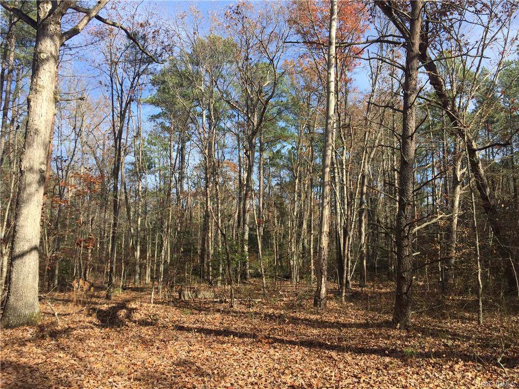 0 Old Ridge Road - Photo 1