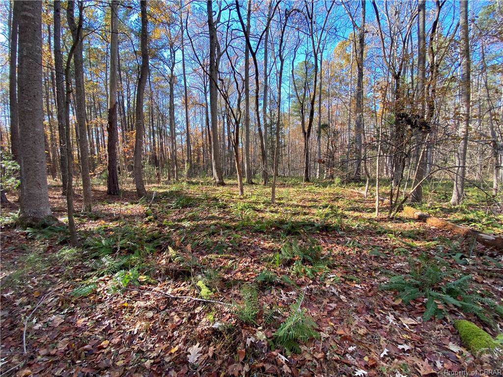 25 Laurel Drive - Photo 1
