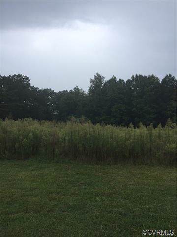 2.498 Acres Deep Run - Photo 1