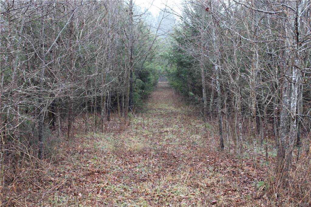 710 ACRES Genito Road - Photo 1