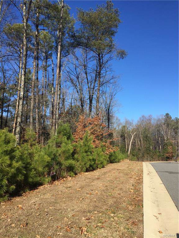 13461 Poplar Valley Place - Photo 1