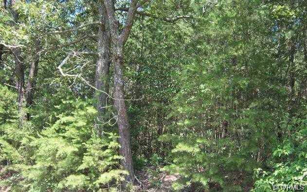 0 Crouches Road - Photo 1