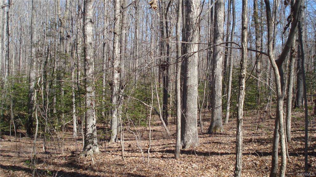 0 River Road West - Photo 1