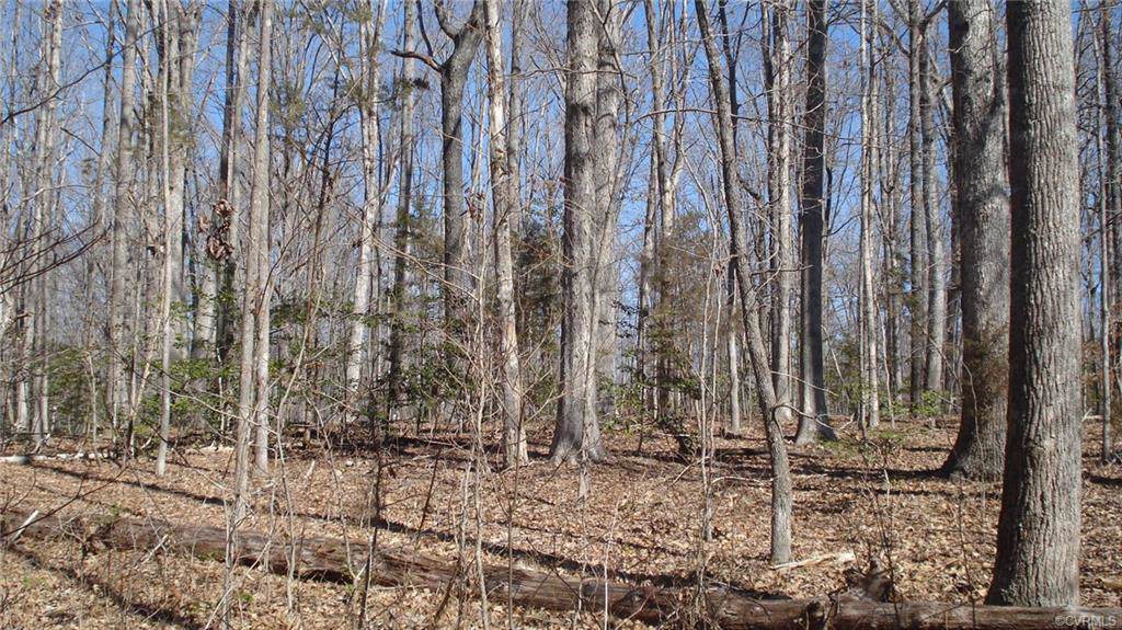 0 River Road West - Photo 1