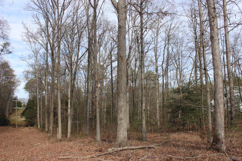 556 Church Hill Road - Photo 1