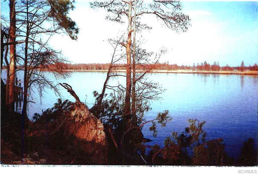 TBD Wilcox Neck Road - Photo 1