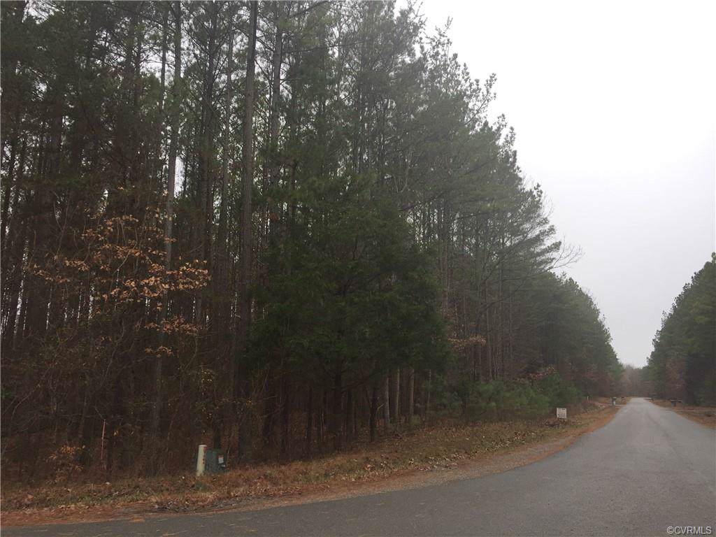 16161 Pug Swamp Lane - Photo 1