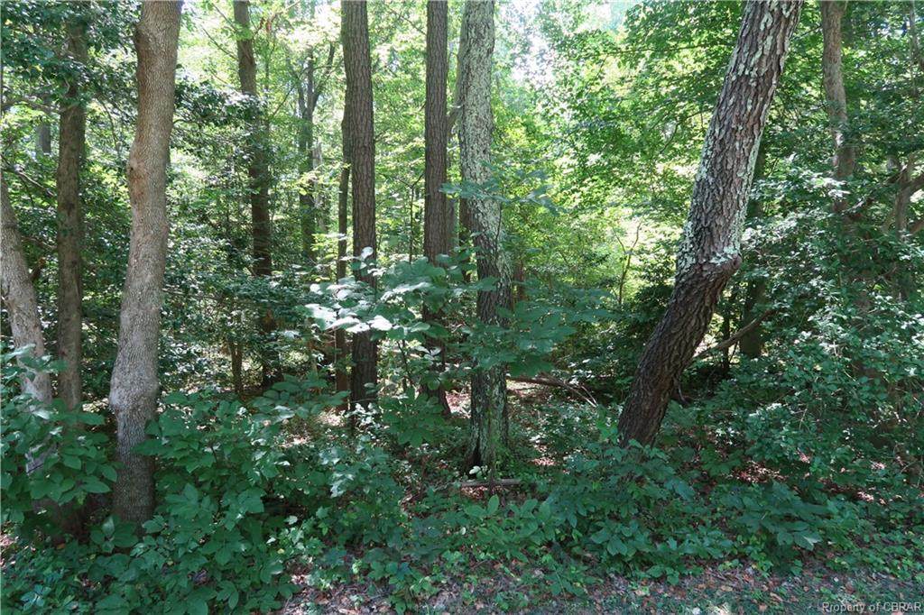 00 Iberis Road - Photo 1
