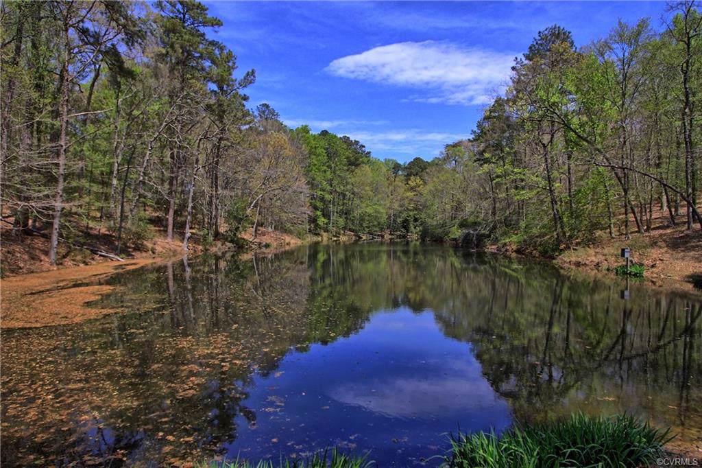 Lot 7 Gordon Pond Road - Photo 1