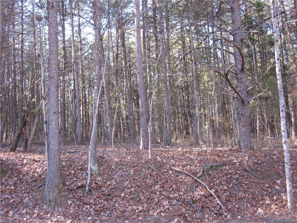 11 Dream Lane - Photo 1