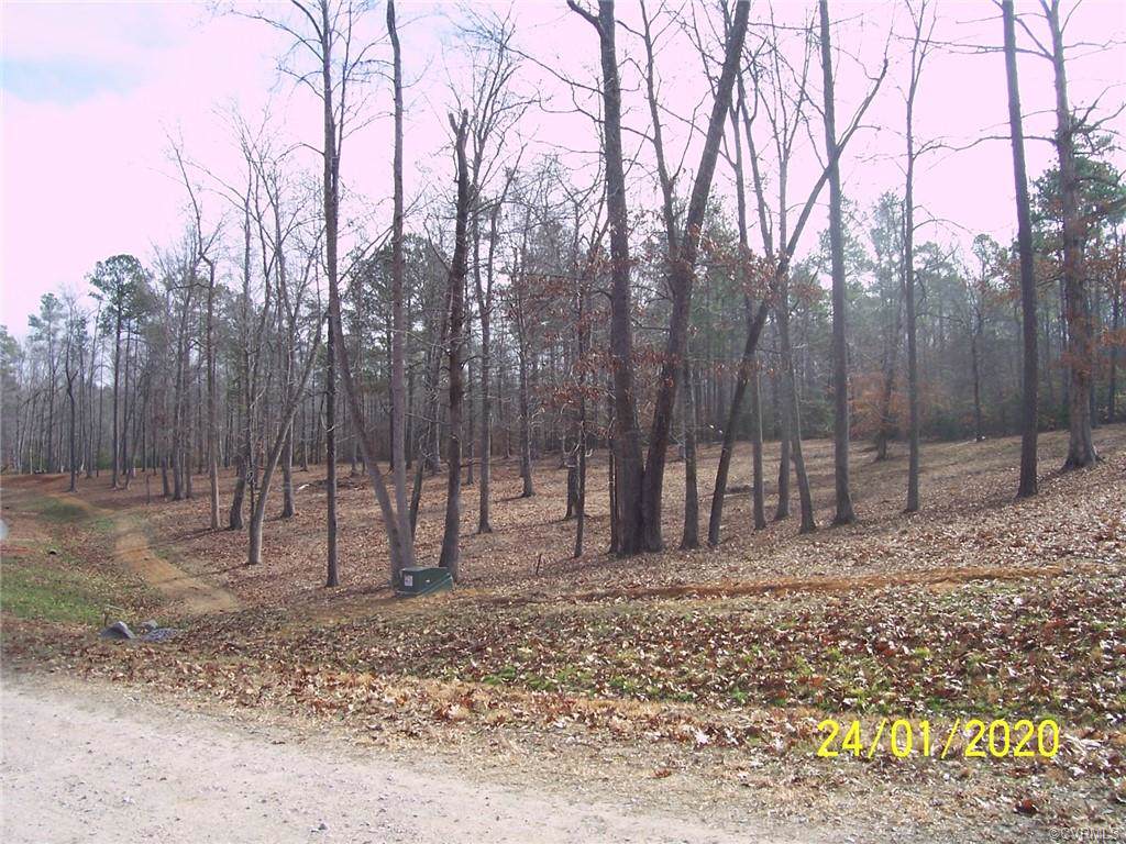 Lot 9 Chesdin Pointe Trail - Photo 1
