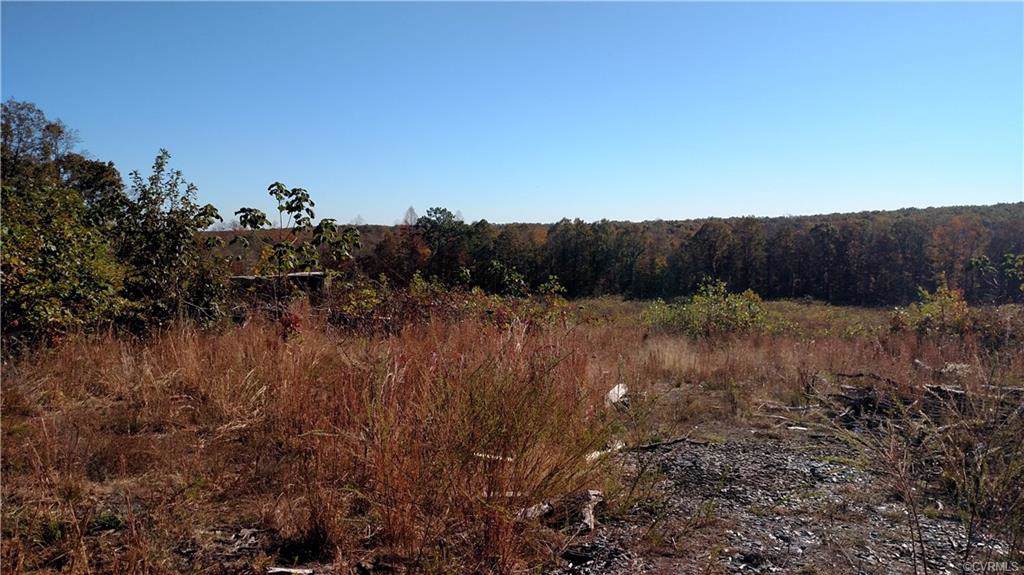 14398 James Madison Highway - Photo 1