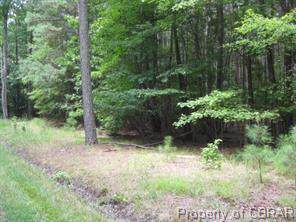 0 Long Cove Road - Photo 1