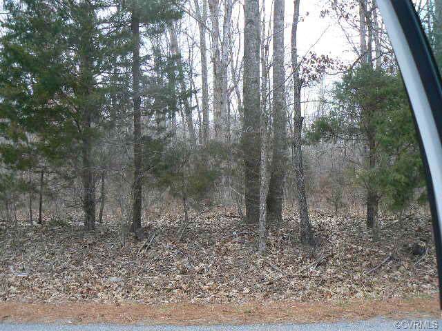 0 Clinton Road - Photo 1