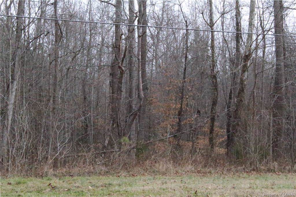 38-188 Hickory Fork Road - Photo 1