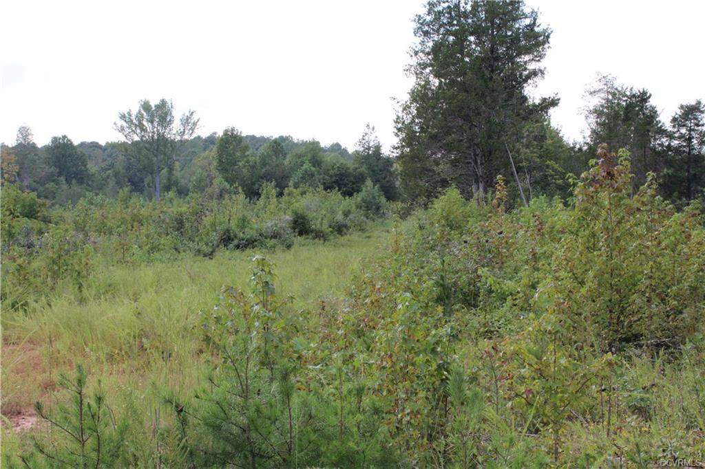 0 Youngstown Road - Photo 1