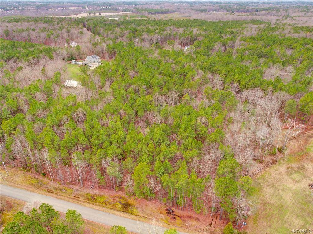 11109 Dude Ranch Road - Photo 1