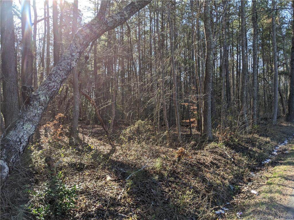 Parcel 2 Chestnut Fork Road - Photo 1