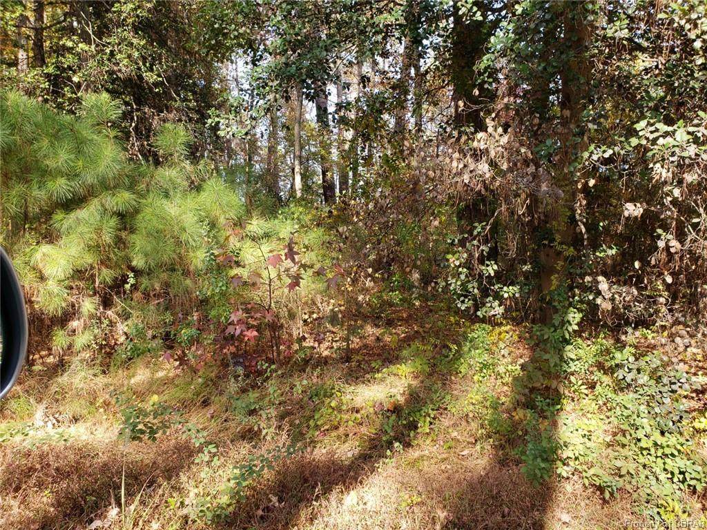 Lot 93 Red Mens Hall Road - Photo 1
