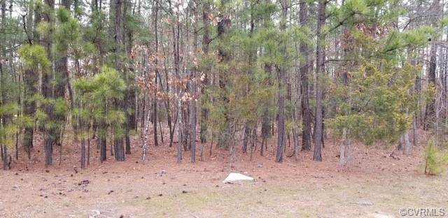 5141 Pouncey Tract Road - Photo 1