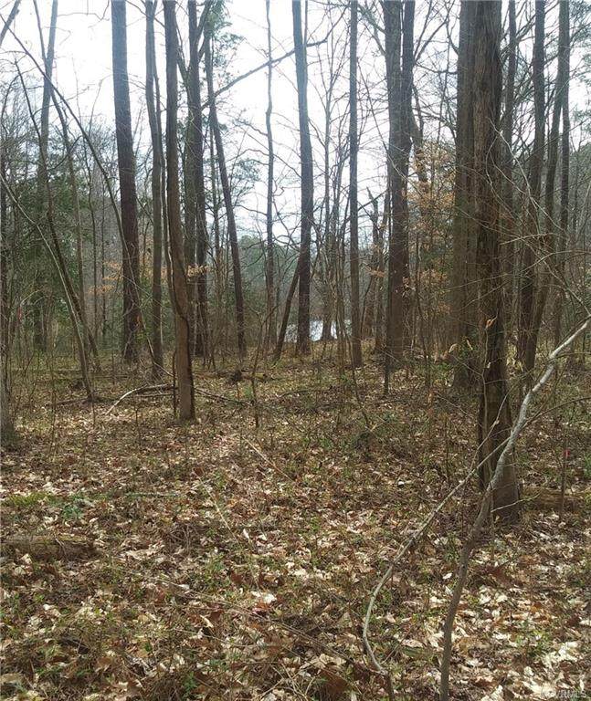 00 Longleaf Road - Photo 1