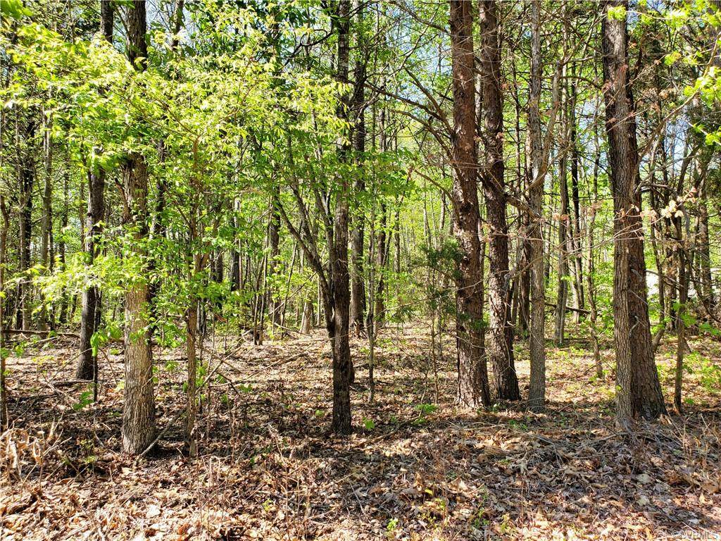 1.58 Acres Genito Road - Photo 1
