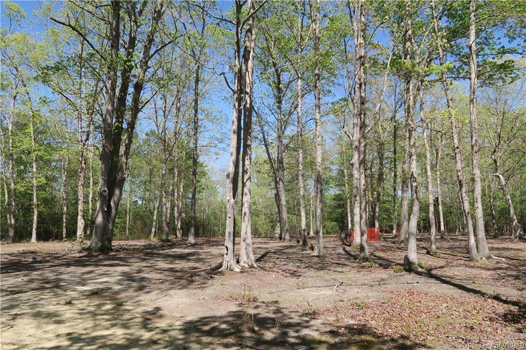 4.79ac Old Salem Road - Photo 1
