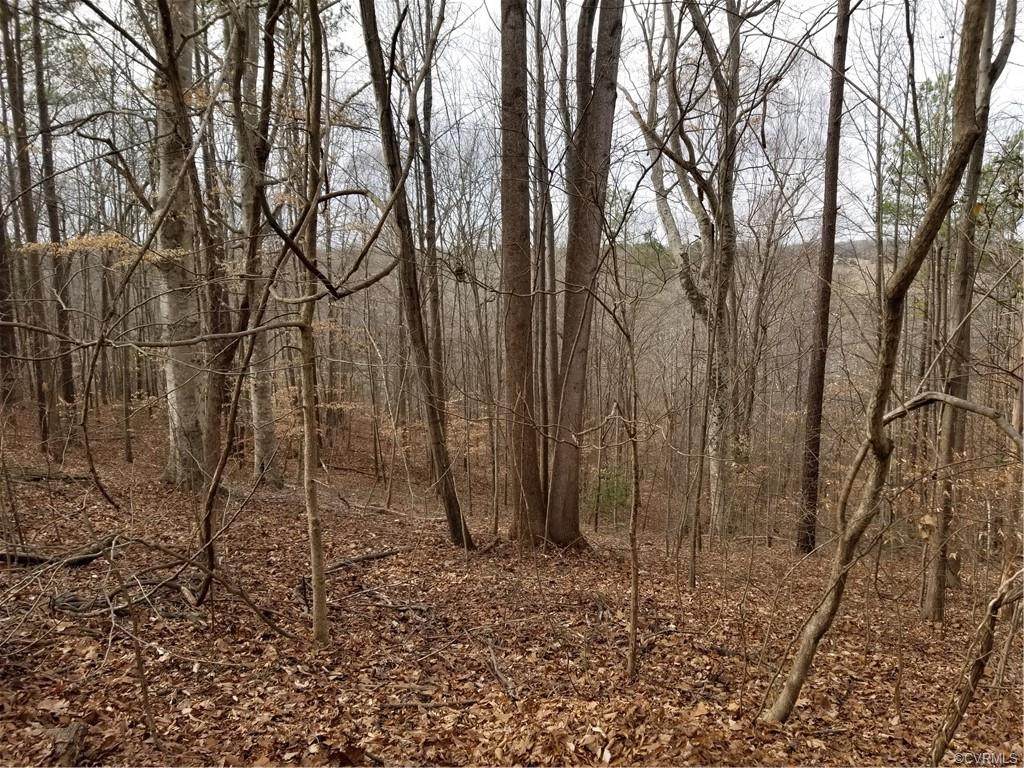 00 Landora Bridge Road - Photo 1