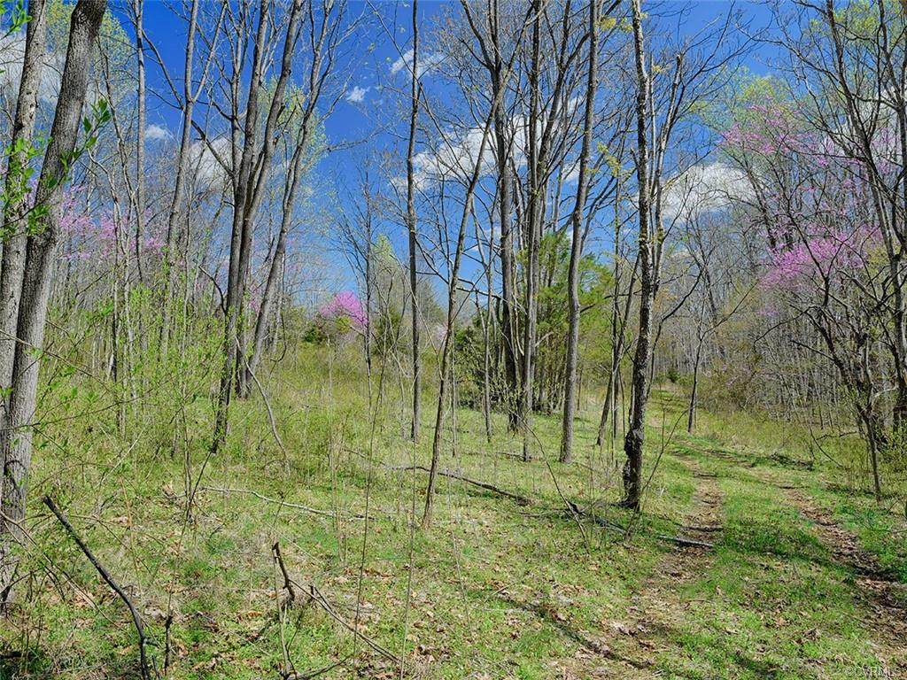 0 Cove Creek Lane - Photo 1