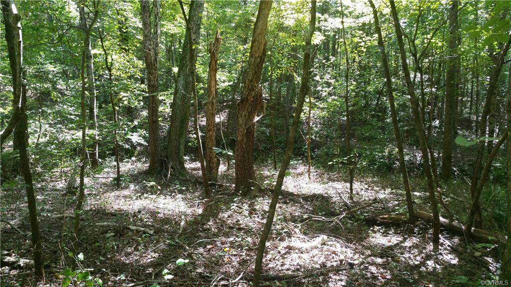 2.59 Acres Bent Creek Road - Photo 1