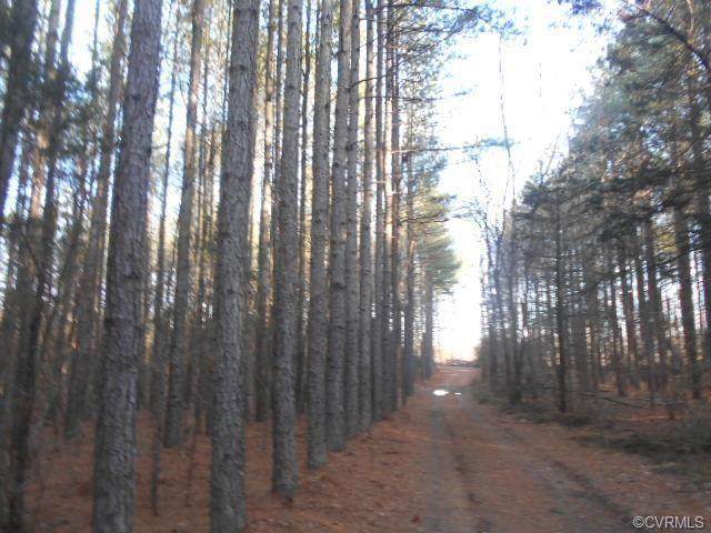 000 Brecks Lane - Photo 1