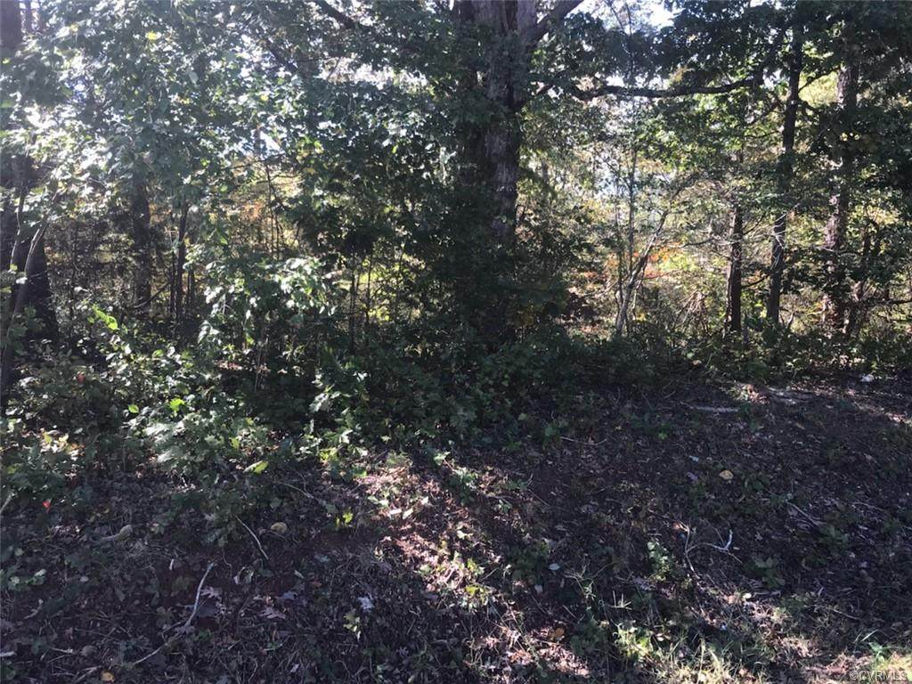 84.96 AC, PARCEL 2, Chatham Road - Photo 1