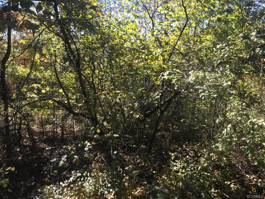 60.60 AC, PARCEL 3, Chatham Road - Photo 1