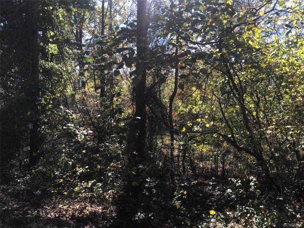 60.60 AC, PARCEL 4, Chatham Road - Photo 1