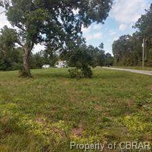 001 Holly Point Road - Photo 1