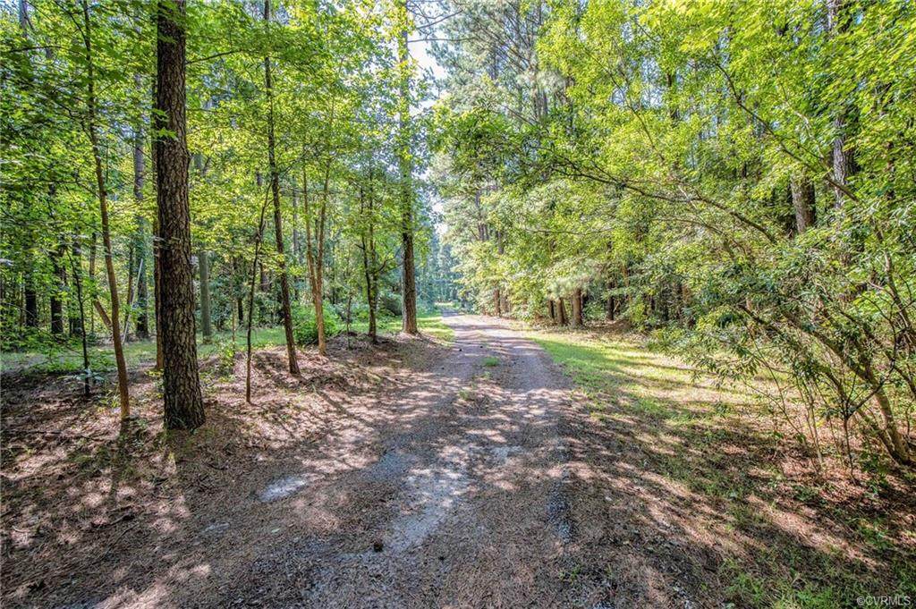11783 Griffin Road - Photo 1