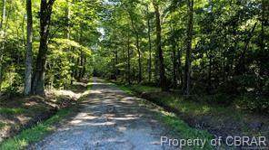 lot C Creek Lane Lane - Photo 1