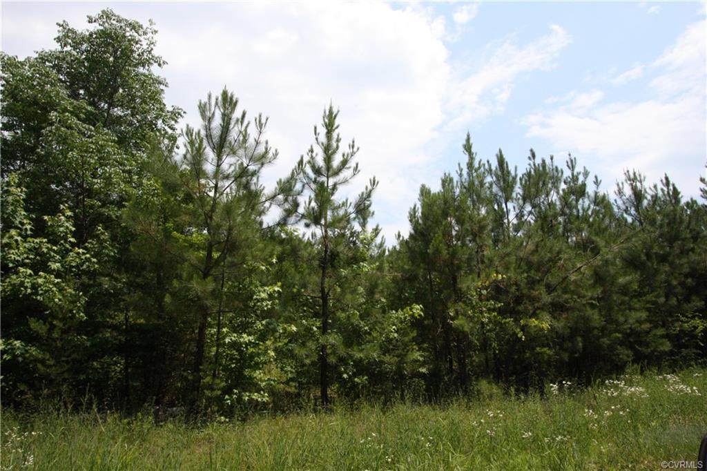 Lot 27B Carriage Hill Road - Photo 1