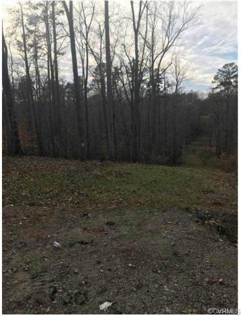 7029 Amstel Bluff Way - Photo 1