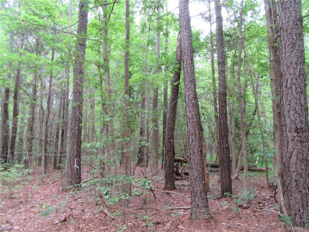 28-47A Colemans Lake Road - Photo 1